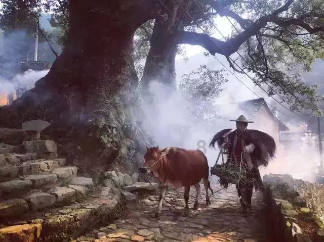 【三零创建】“怀揣一夜暴富梦想，远赴迪拜淘金，最终却流落到沙漠‘诈骗园’……”