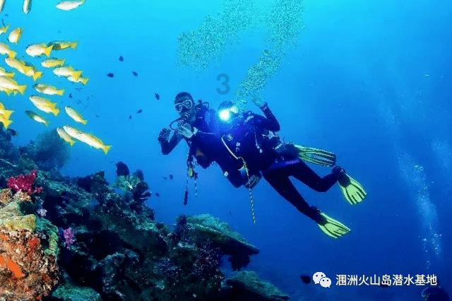 长寿指南!腊月寒冬长,如何安全养护“心血管”?