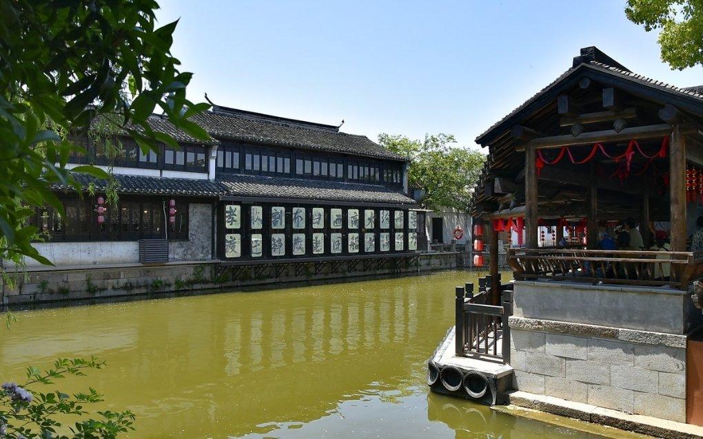 虎胆熊威3